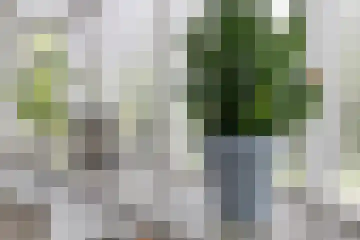 Otweg 19 Boskoop thumbnail 10