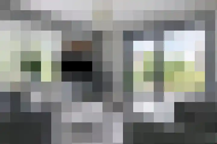 Otweg 19 Boskoop thumbnail 11