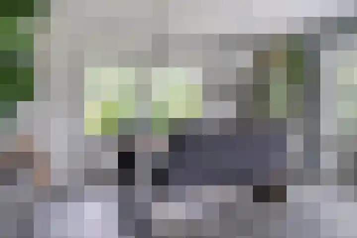 Otweg 19 Boskoop thumbnail 12