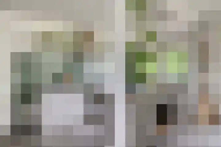 Otweg 19 Boskoop thumbnail 14