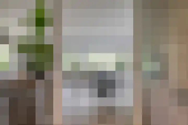 Otweg 19 Boskoop thumbnail 20