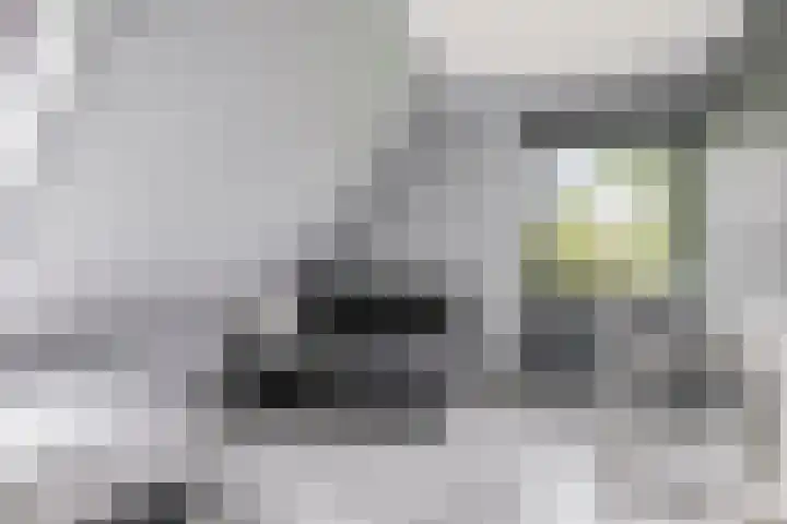 Otweg 19 Boskoop thumbnail 31