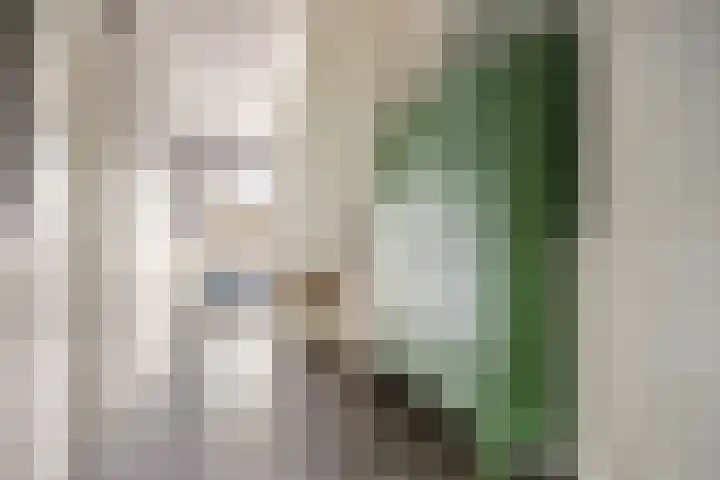 Otweg 19 Boskoop thumbnail 4