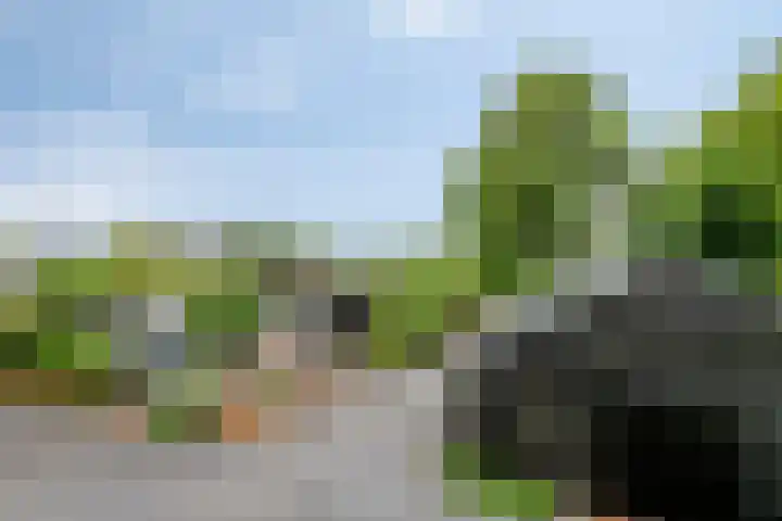 Otweg 19 Boskoop thumbnail 43