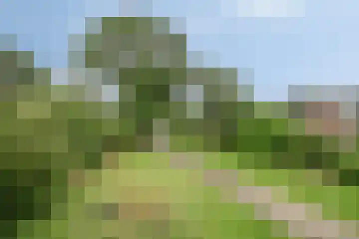 Otweg 19 Boskoop thumbnail 44