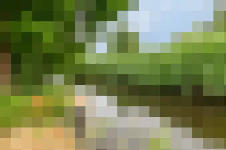 Otweg 19 Boskoop thumbnail 46