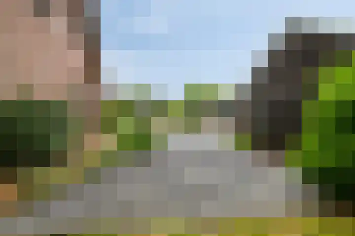 Otweg 19 Boskoop thumbnail 47