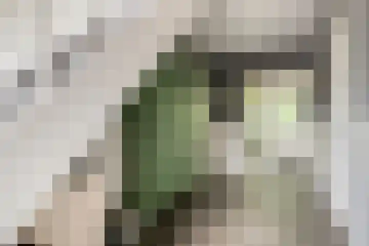 Otweg 19 Boskoop thumbnail 5