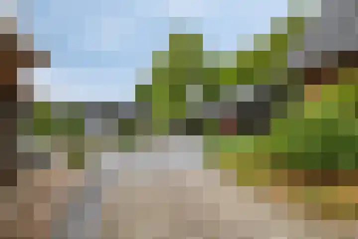Otweg 19 Boskoop thumbnail 50