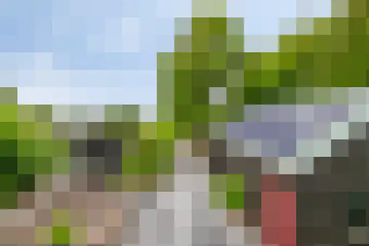 Otweg 19 Boskoop thumbnail 51