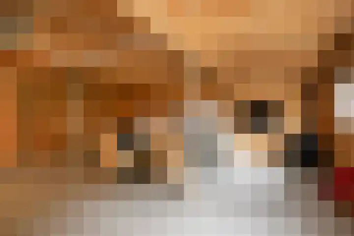 Otweg 19 Boskoop thumbnail 53