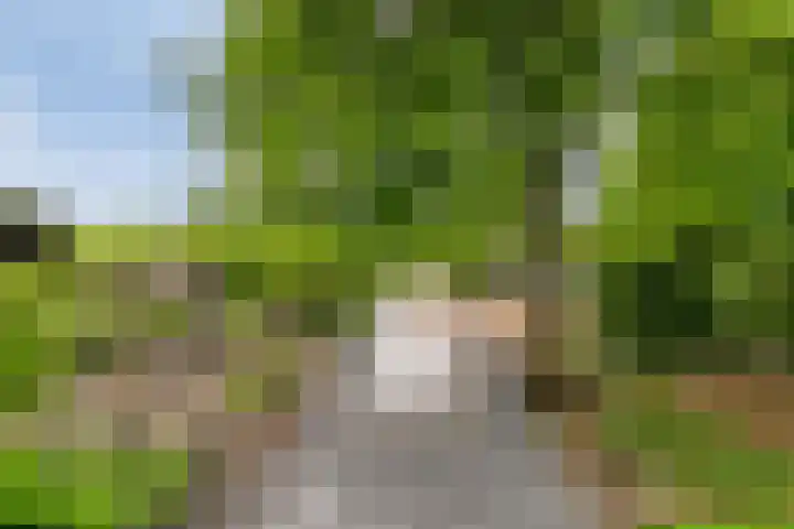 Otweg 19 Boskoop thumbnail 56