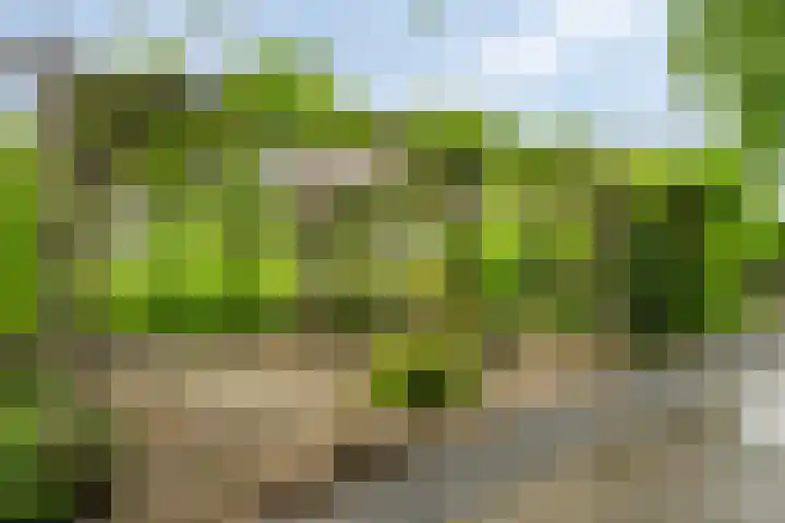 Otweg 19 Boskoop thumbnail 57