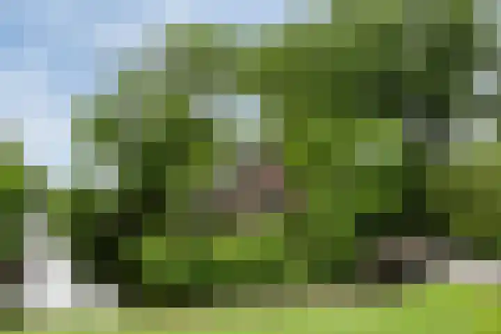 Otweg 19 Boskoop thumbnail 59
