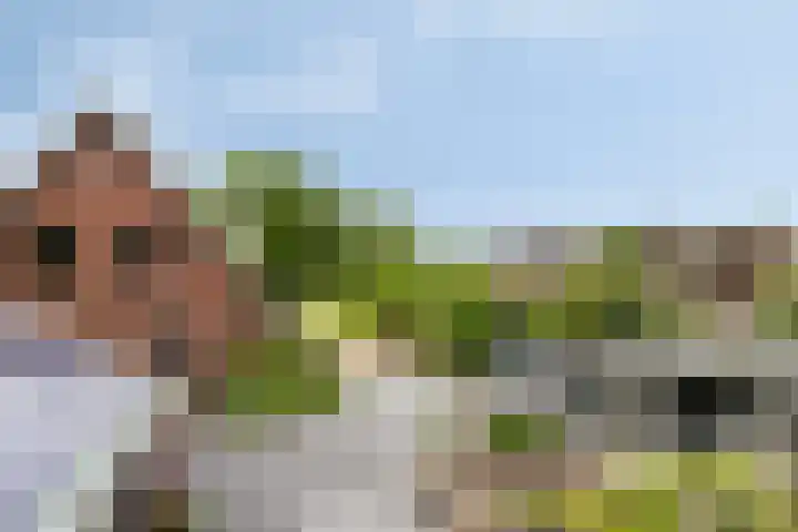 Otweg 19 Boskoop thumbnail 60