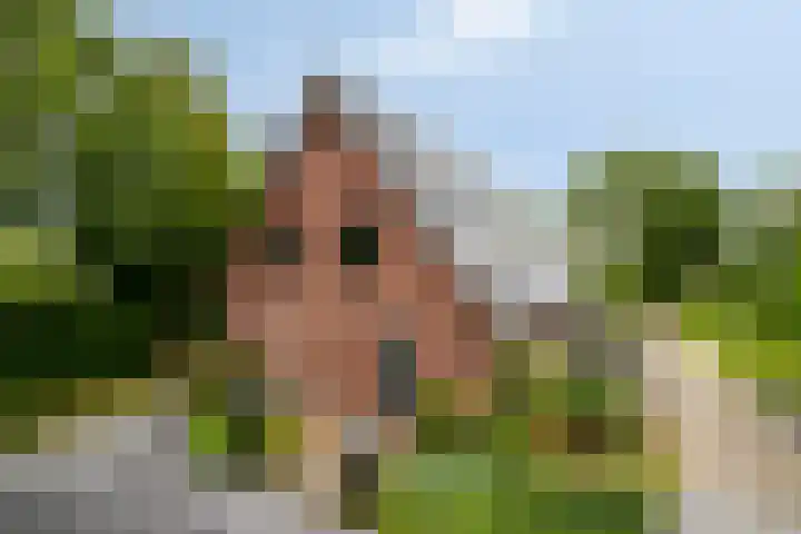 Otweg 19 Boskoop thumbnail 61