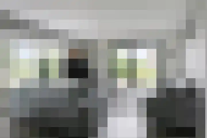 Otweg 19 Boskoop thumbnail 7