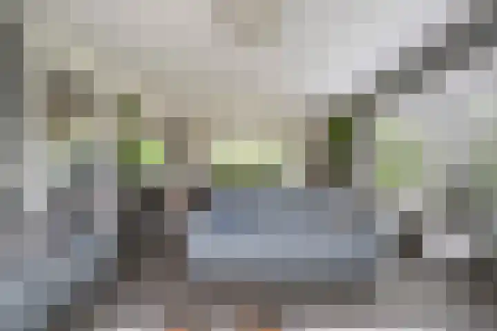 Otweg 19 Boskoop thumbnail 9