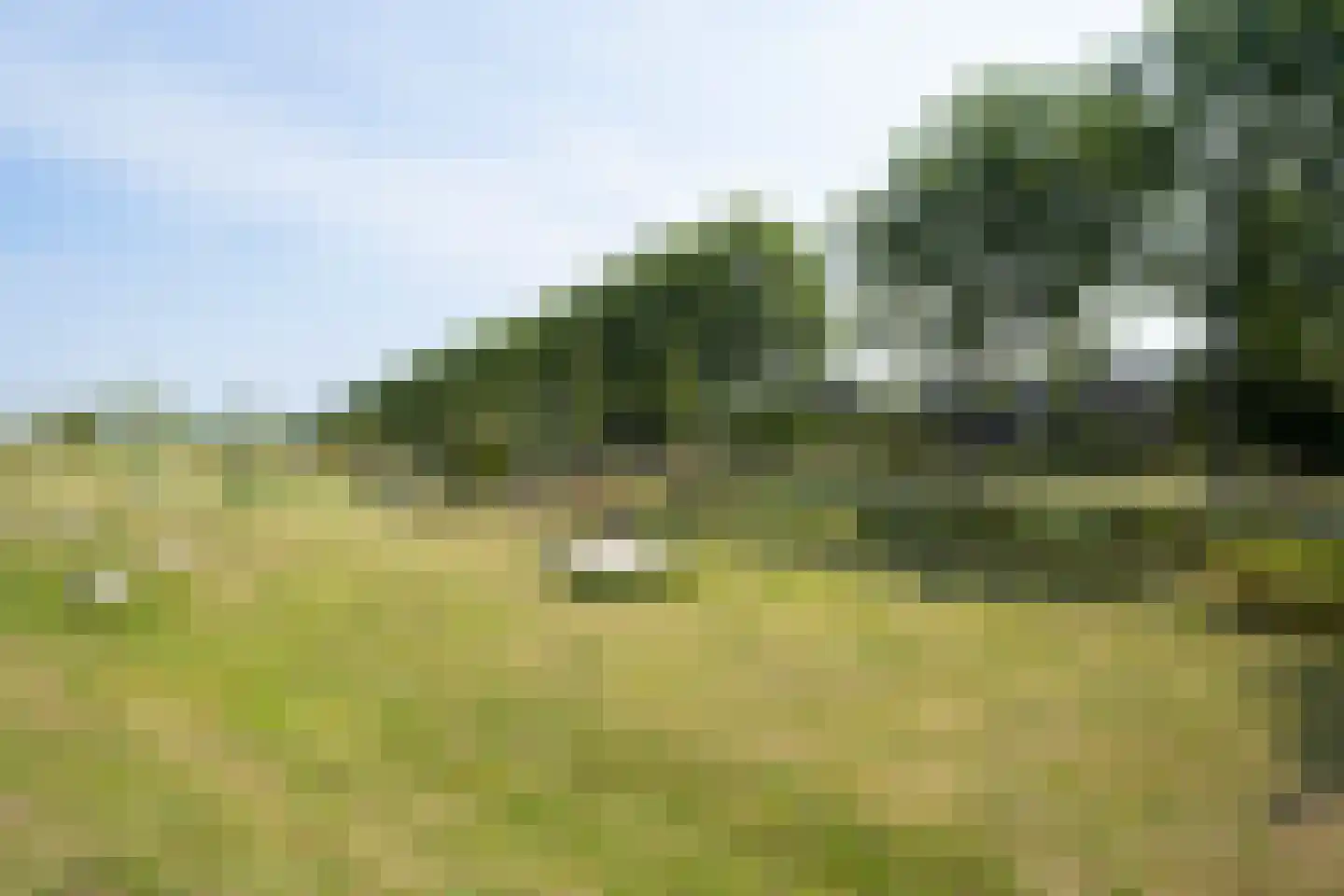 Otweg 30 Rijsenhout thumbnail 40