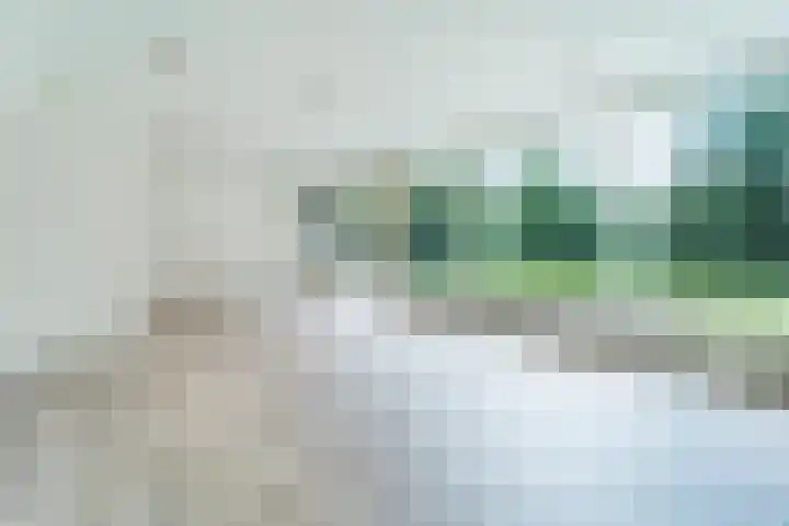 Ouborg 6 Amsterdam thumbnail 14