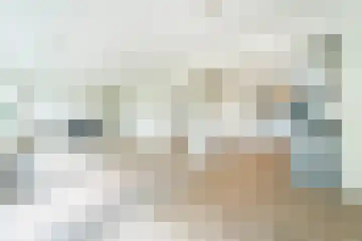 Ouborg 6 Amsterdam thumbnail 16