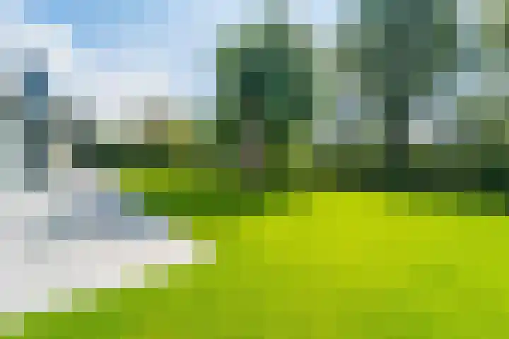 Ouborg 6 Amsterdam thumbnail 57
