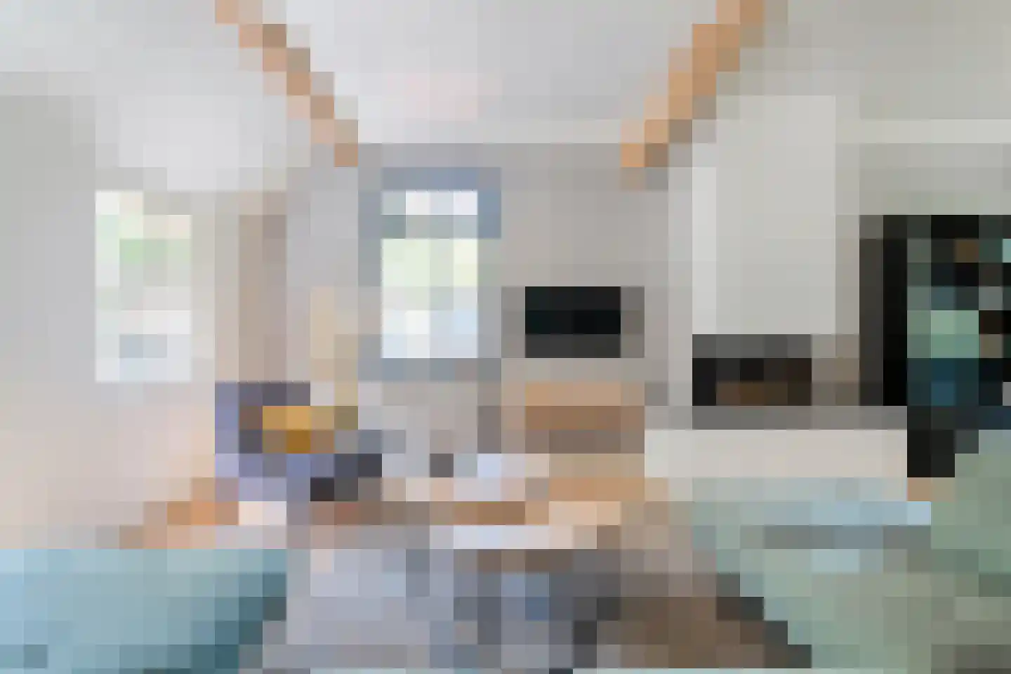 Oud Aalden 9 Aalden thumbnail 17