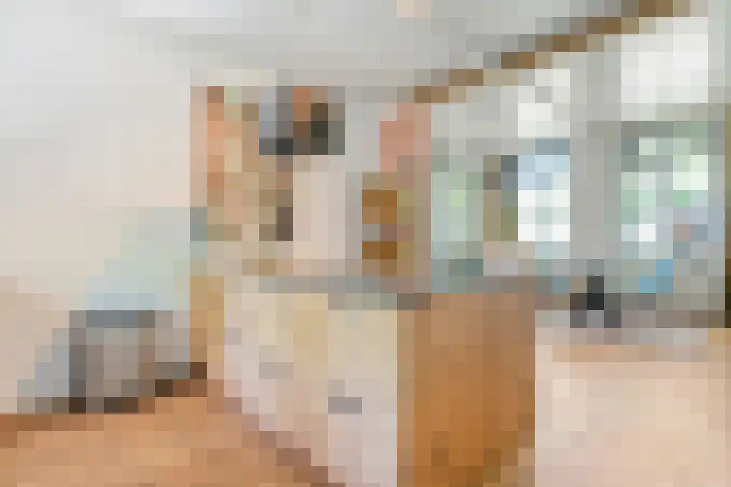 Oud Aalden 9 Aalden thumbnail 21