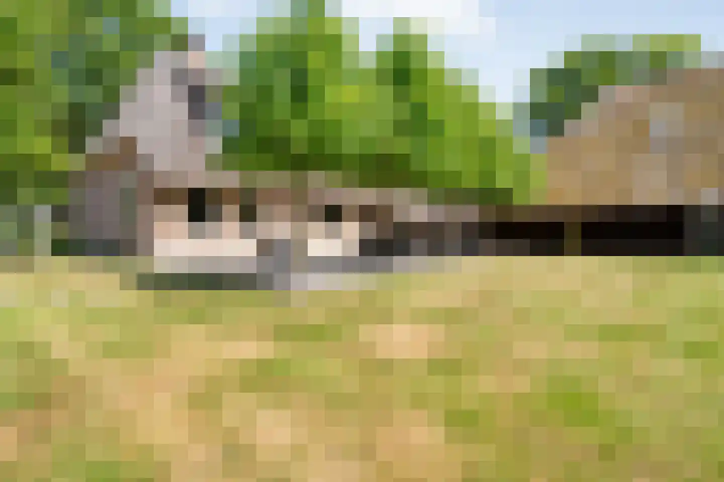 Oud Aalden 9 Aalden thumbnail 37