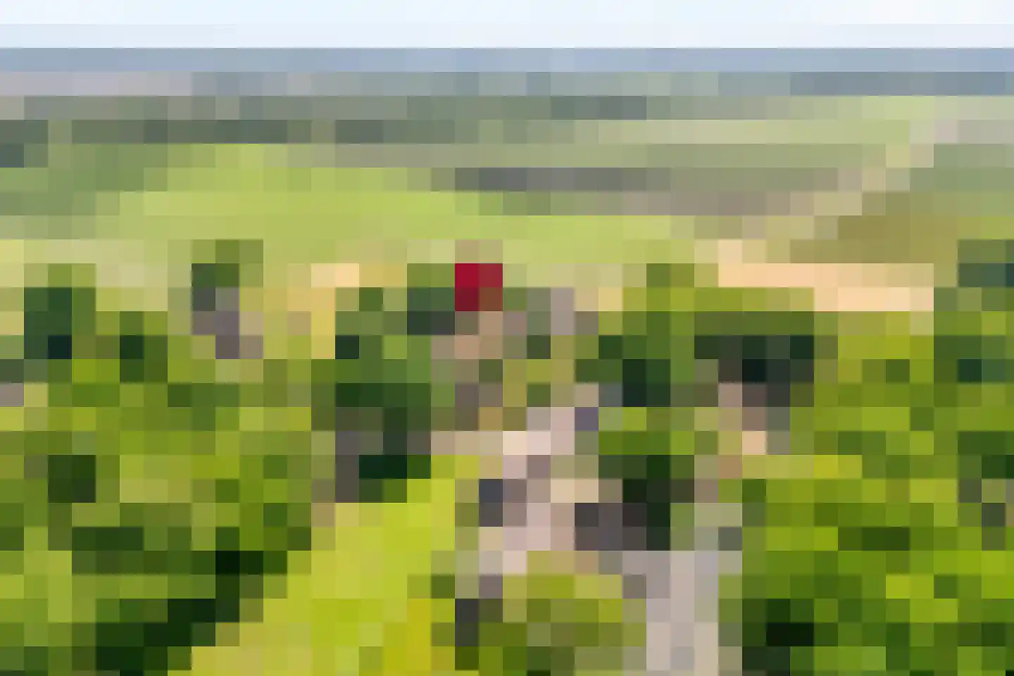 Oud Aalden 9 Aalden thumbnail 4