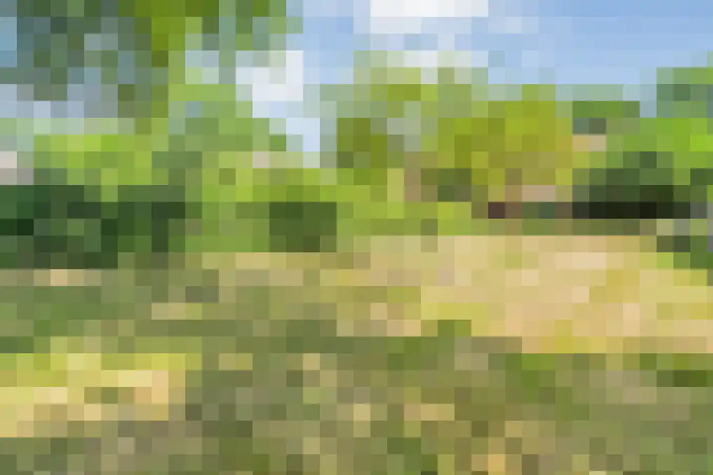 Oud Aalden 9 Aalden thumbnail 45