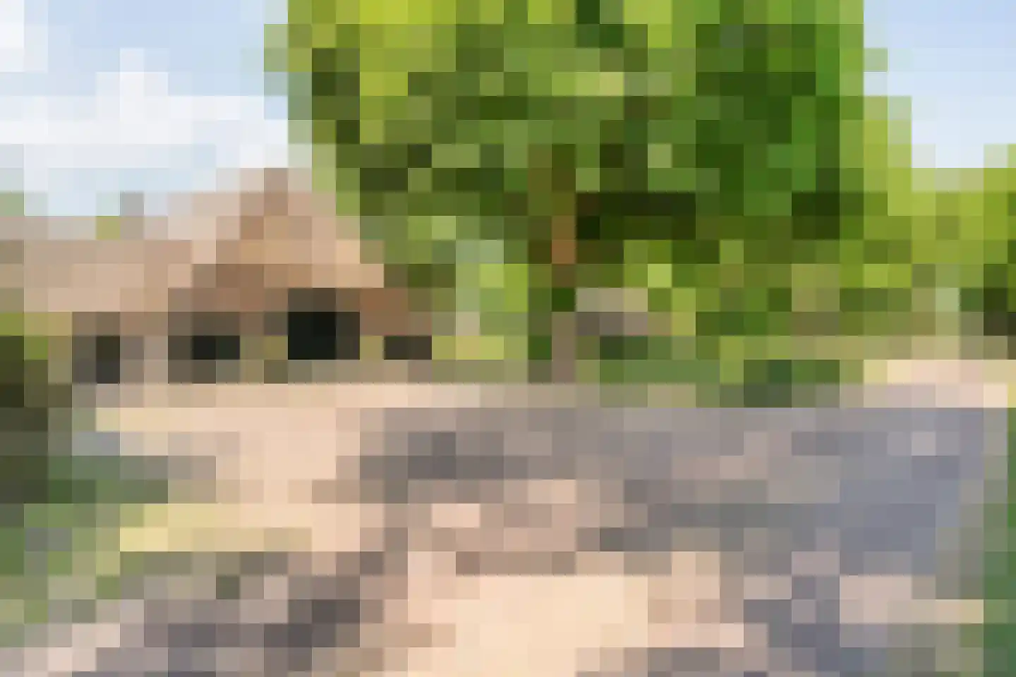 Oud Aalden 9 Aalden thumbnail 48