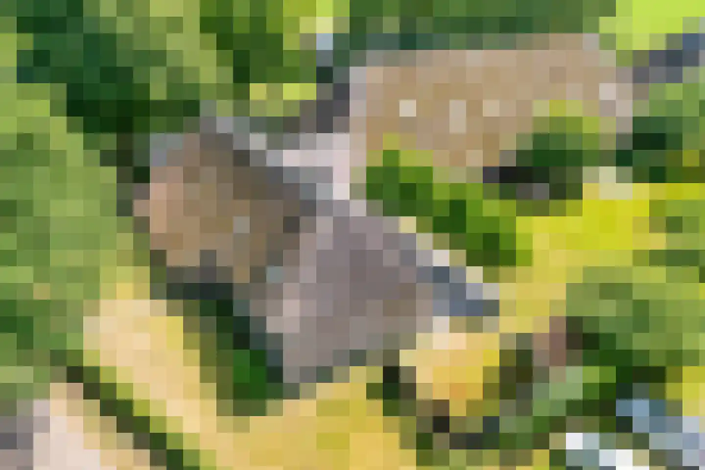 Oud Aalden 9 Aalden thumbnail 5