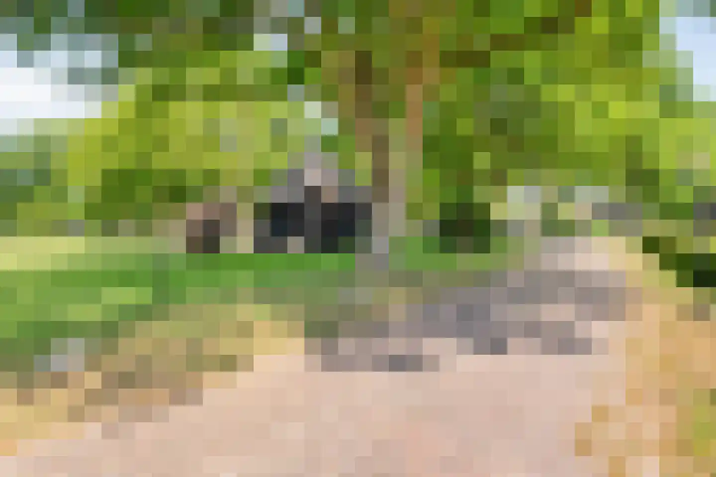 Oud Aalden 9 Aalden thumbnail 66