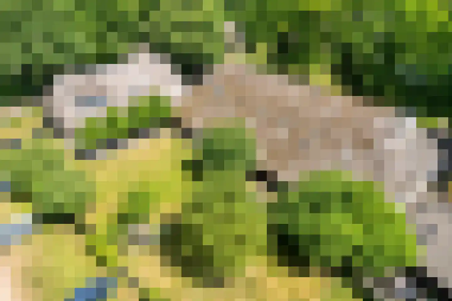 Oud Aalden 9 Aalden thumbnail 67