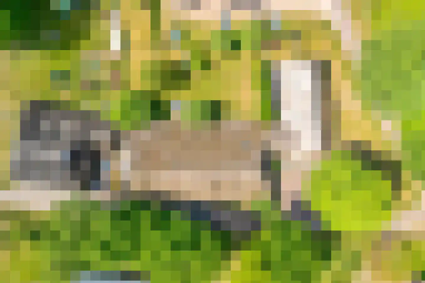 Oud Aalden 9 Aalden thumbnail 68