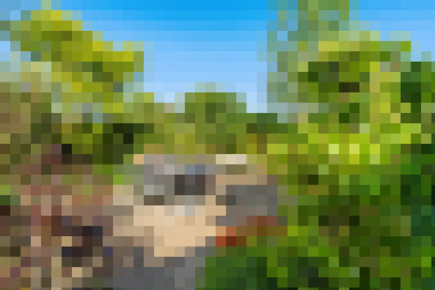 Oud Adeselaan 3 Rijpwetering thumbnail 15
