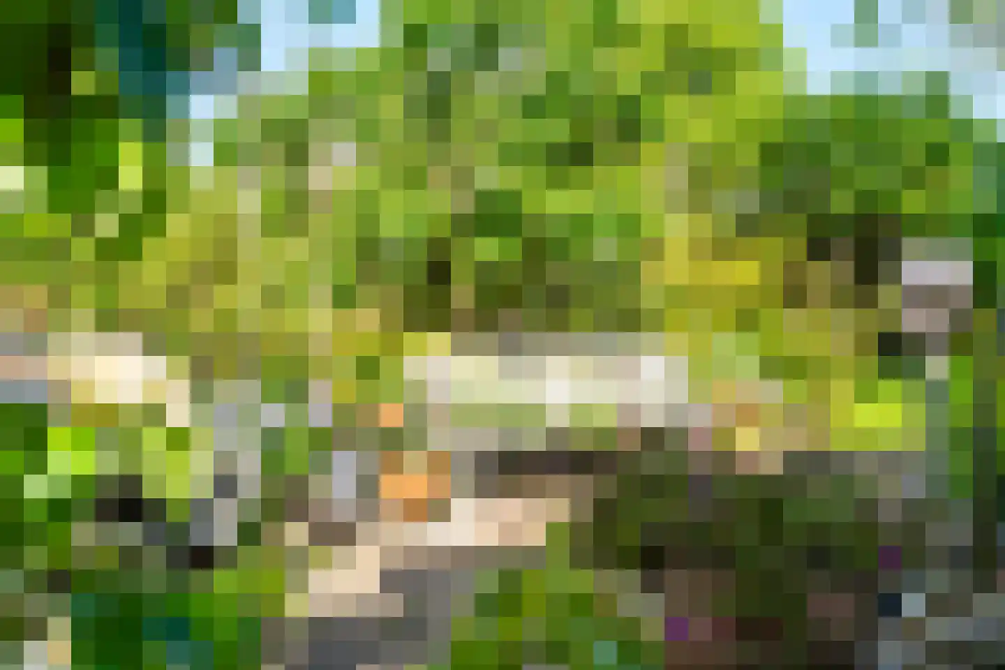Oud Adeselaan 3 Rijpwetering thumbnail 16