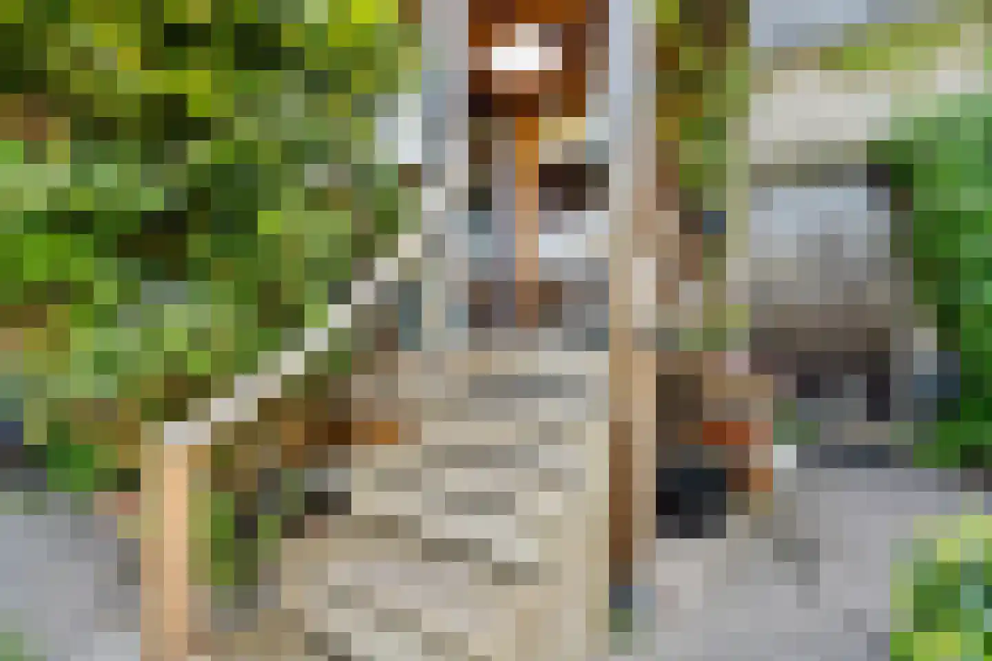 Oud Adeselaan 3 Rijpwetering thumbnail 20