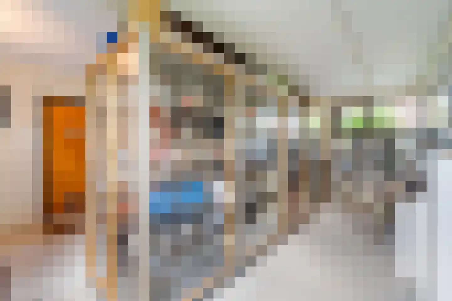 Oud Adeselaan 3 Rijpwetering thumbnail 32