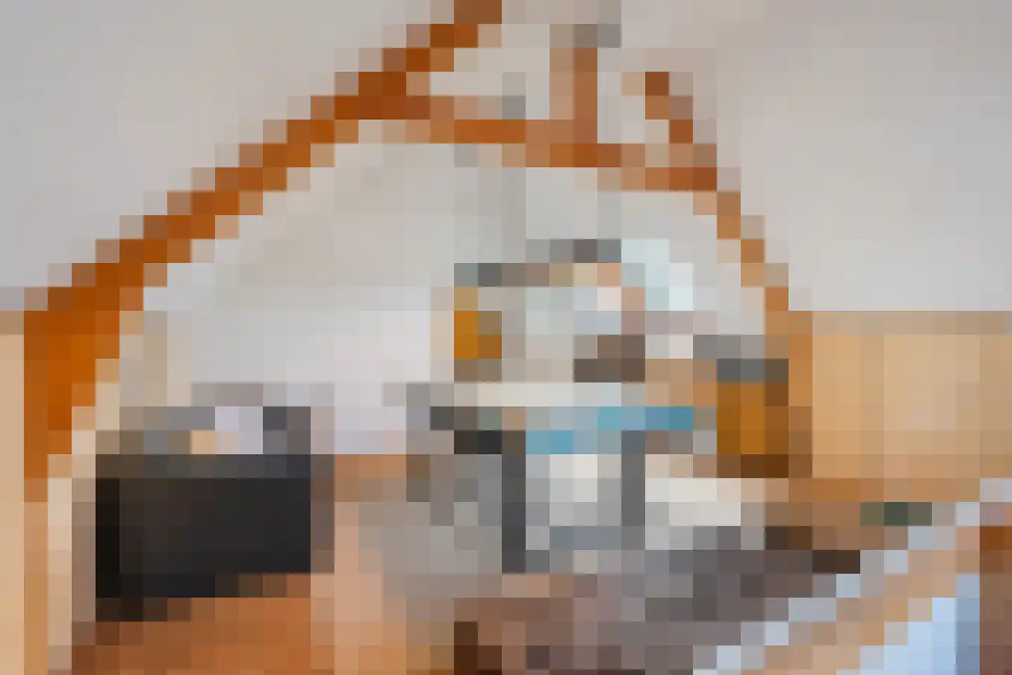 Oud Adeselaan 3 Rijpwetering thumbnail 36