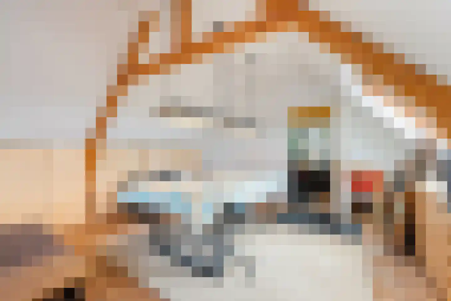 Oud Adeselaan 3 Rijpwetering thumbnail 37