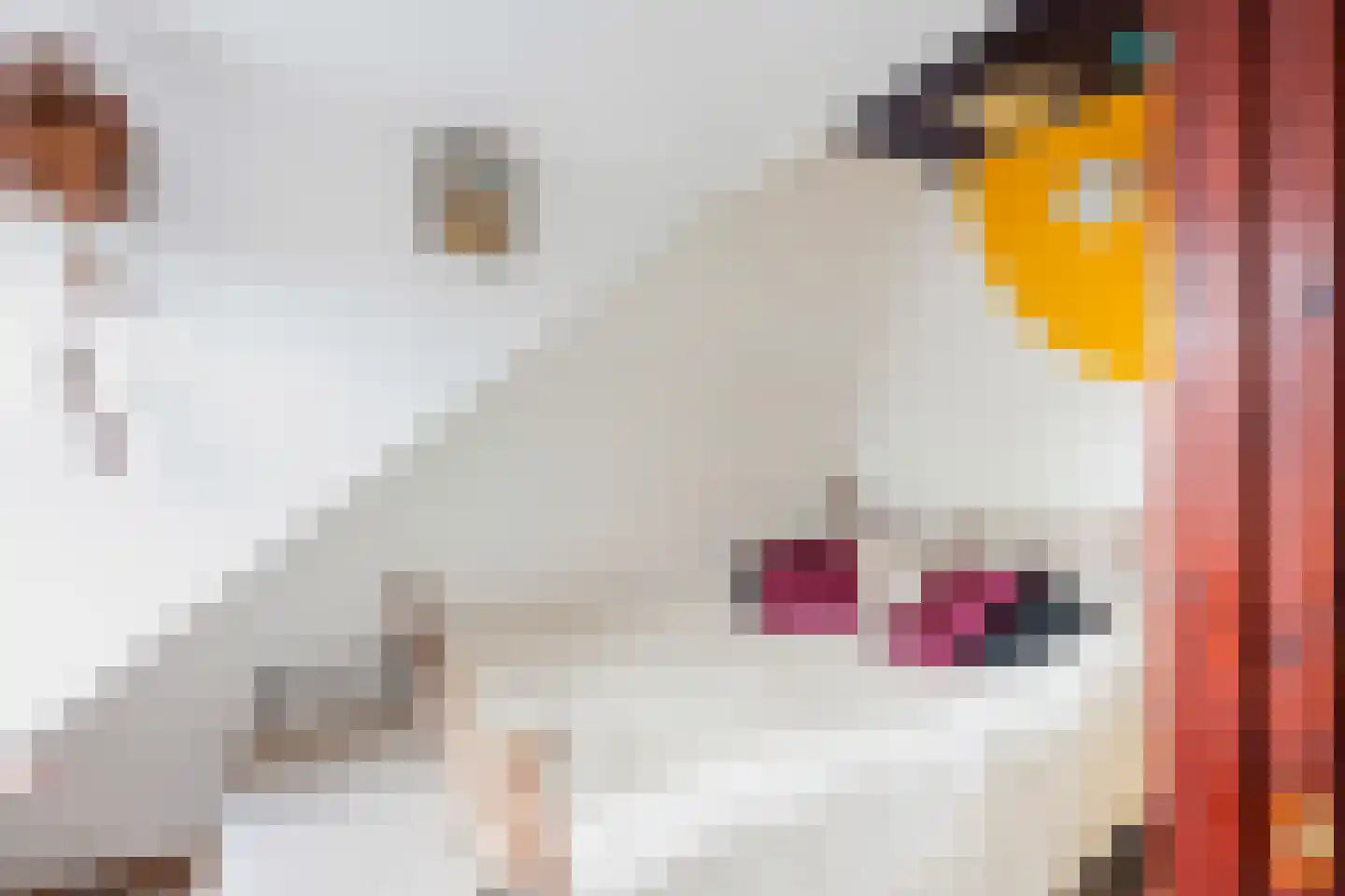 Oud Adeselaan 3 Rijpwetering thumbnail 43