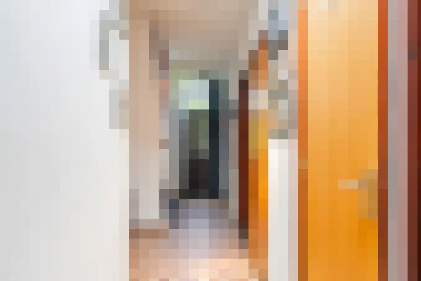 Oud Adeselaan 3 Rijpwetering thumbnail 50