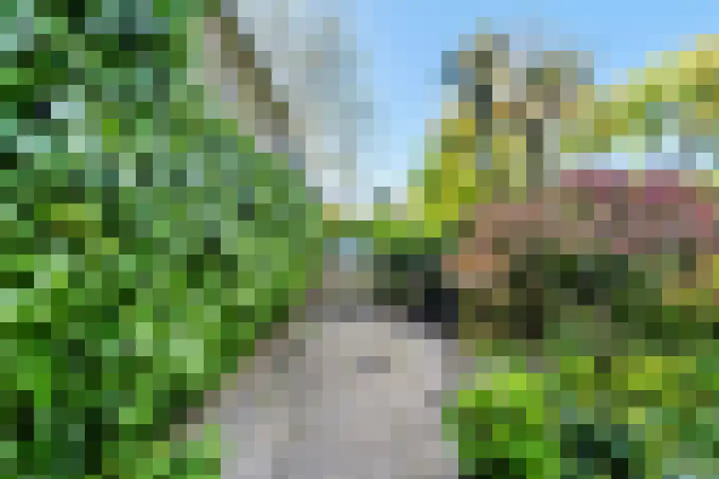 Oud Adeselaan 3 Rijpwetering thumbnail 56