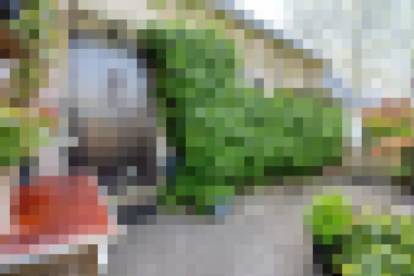 Oud Adeselaan 3 Rijpwetering thumbnail 57