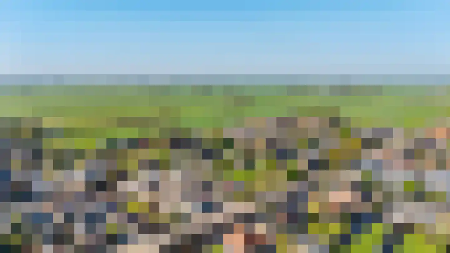 Oud Adeselaan 3 Rijpwetering thumbnail 59