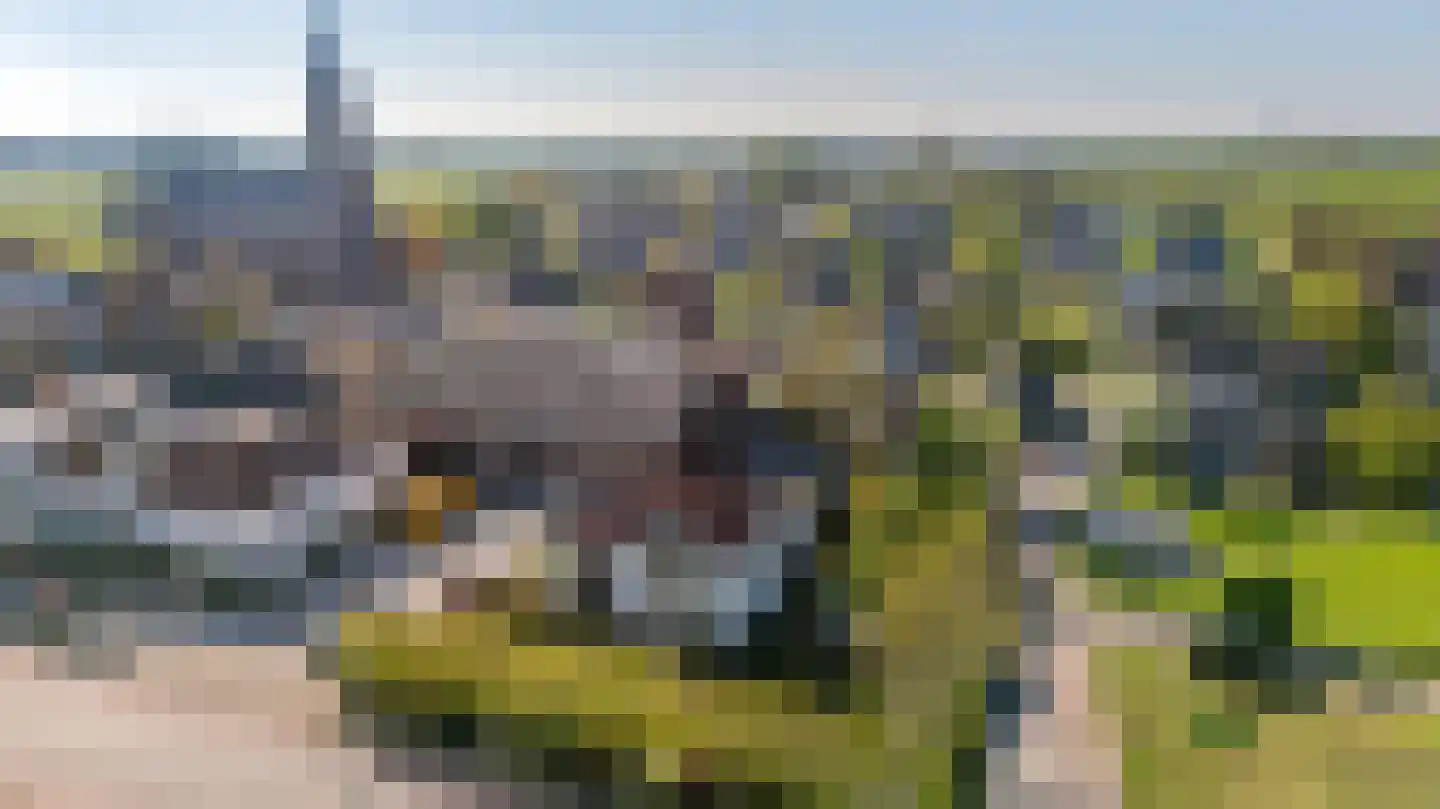 Oud Adeselaan 3 Rijpwetering thumbnail 61