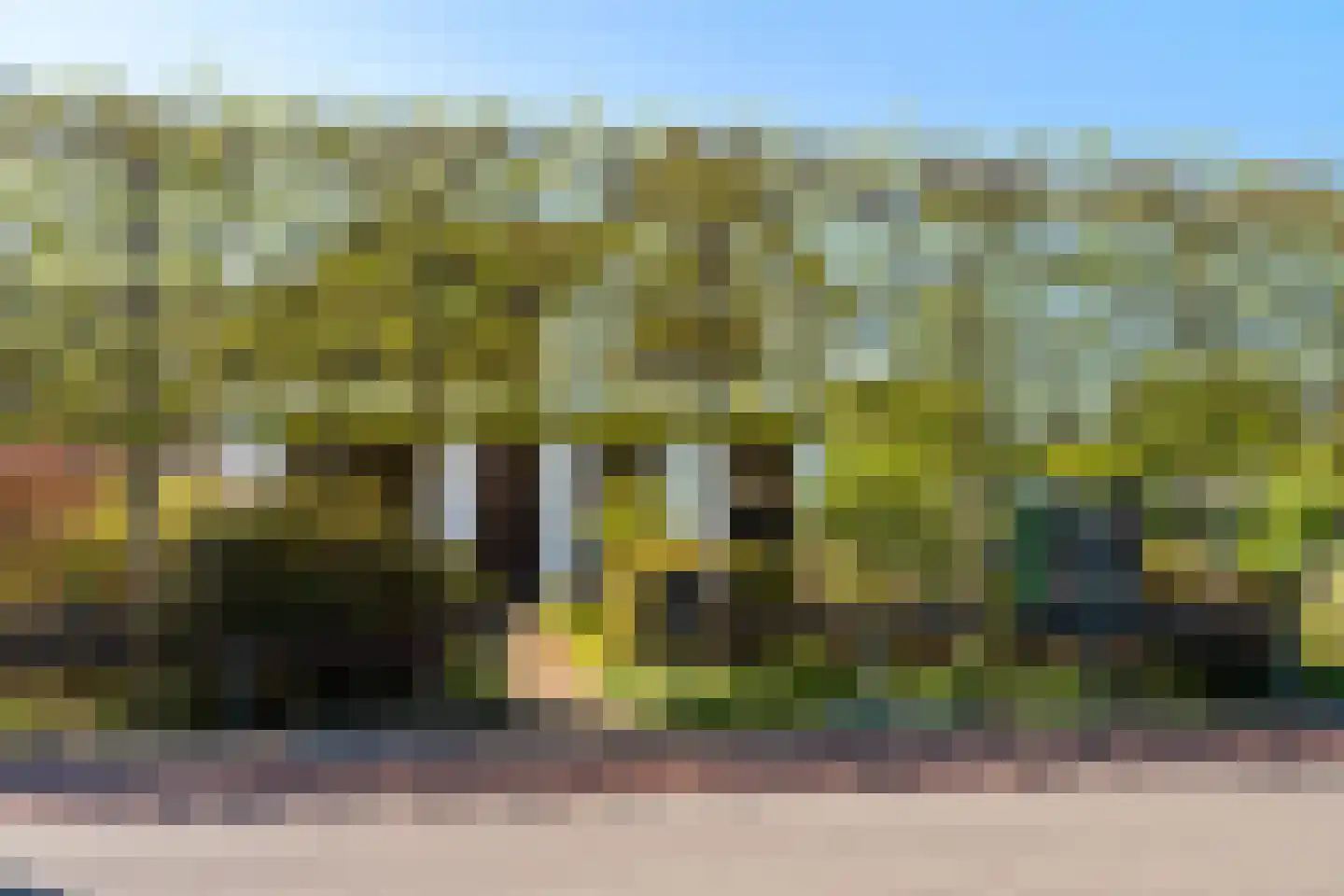Oud Adeselaan 3 Rijpwetering thumbnail 67