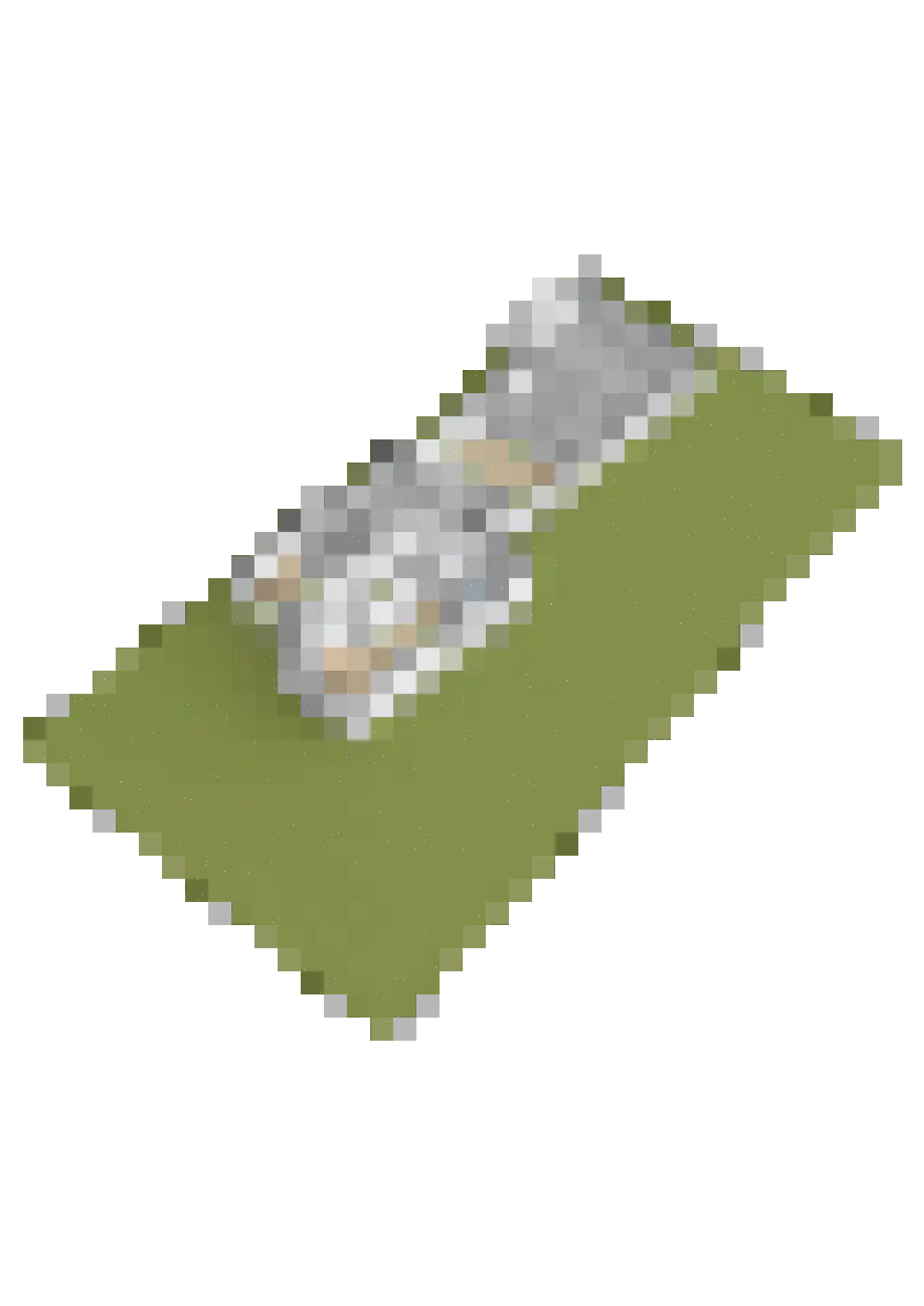 Oud Adeselaan 3 Rijpwetering thumbnail 75